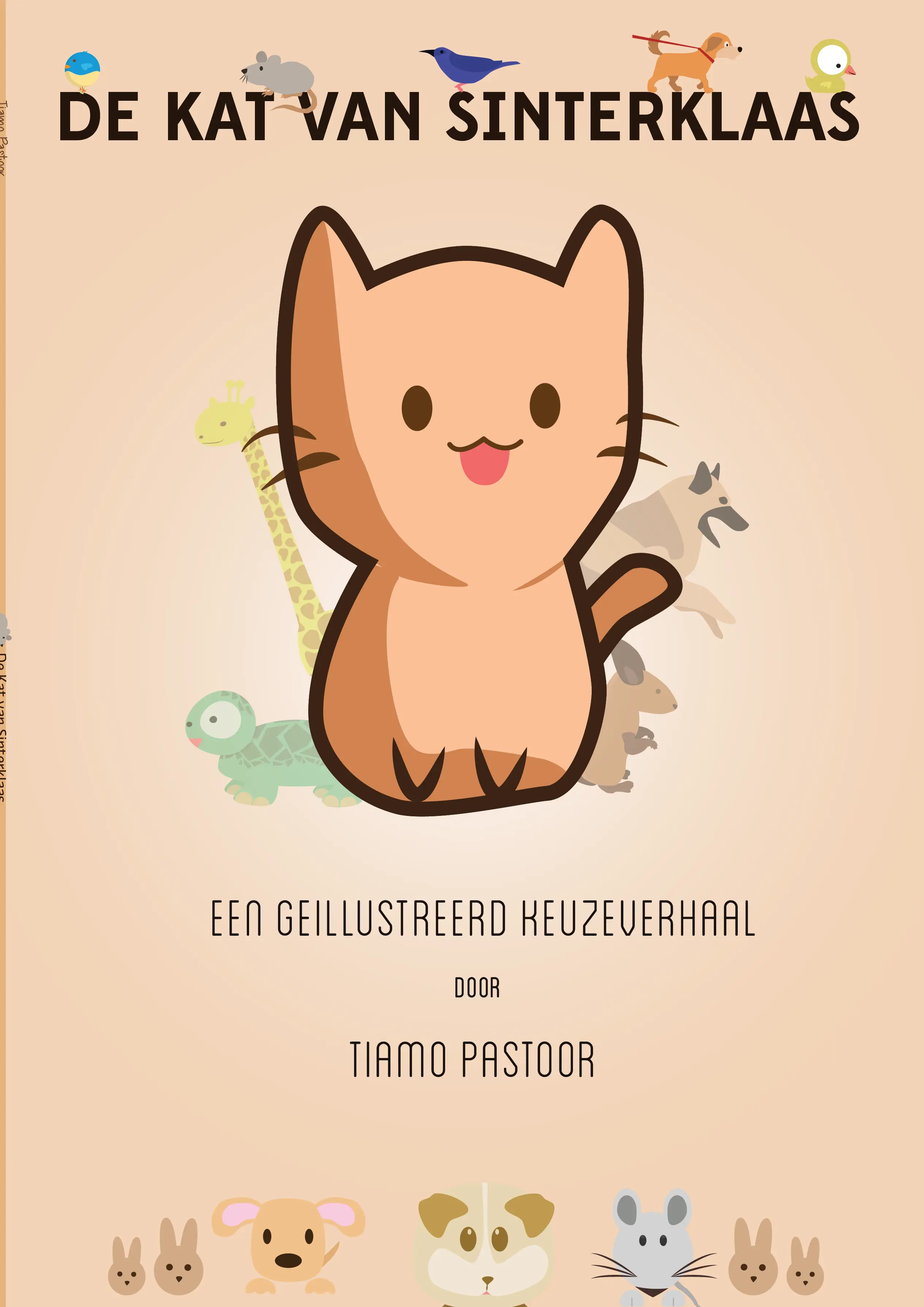 Product Image for De kat van Sinterklaas